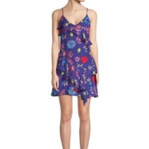 Parker Holly Floral Ruffle Dress Valencia Eclipse